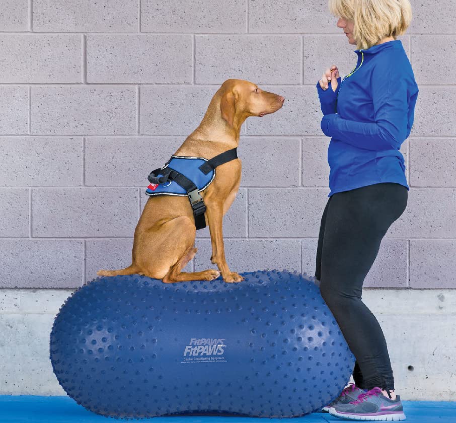 Fitpaws® Trax™ Balance Peanut – 60Cm/24” | Dog Exercise Equipment For Fitness & Rehabilitation | Workout Tool For Strength, Core & Stability