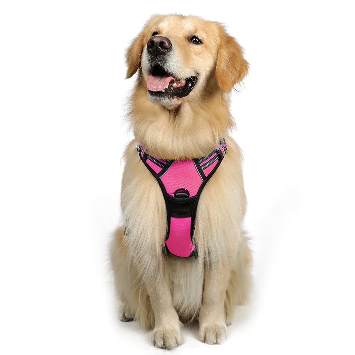 Rabbitgoo Dog Harness, No-Pull Pet Harness With 2 Leash Clips, Adjustable Soft Padded Dog Vest, Reflective No-Choke Pet Oxford Vest With Easy Control Handle For Large Dogs, Hot Pink, Xl