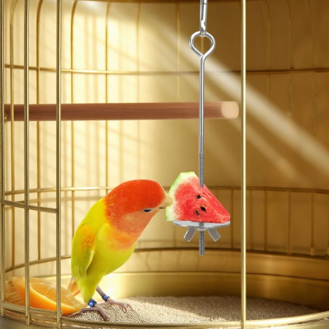 luchike 2Pcs Stainless Steel Rat Toys Rat Enrichment Toys Hamster Toy Hamster Cage Accessories Fancy Mice Cage Accessories Puzzl
