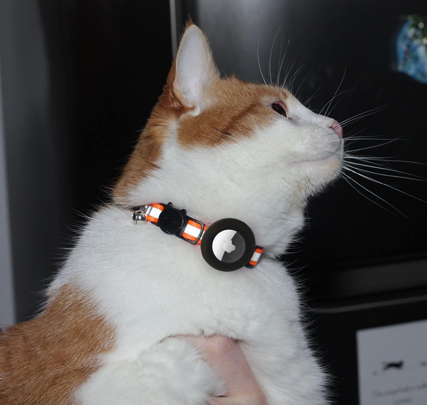 Reflective Cat Collar With Airtag Holders, Set Of 6, With Bells, Solid & Safe Collars For Cats, Nylon, Mixed Colors, Pet Collar,