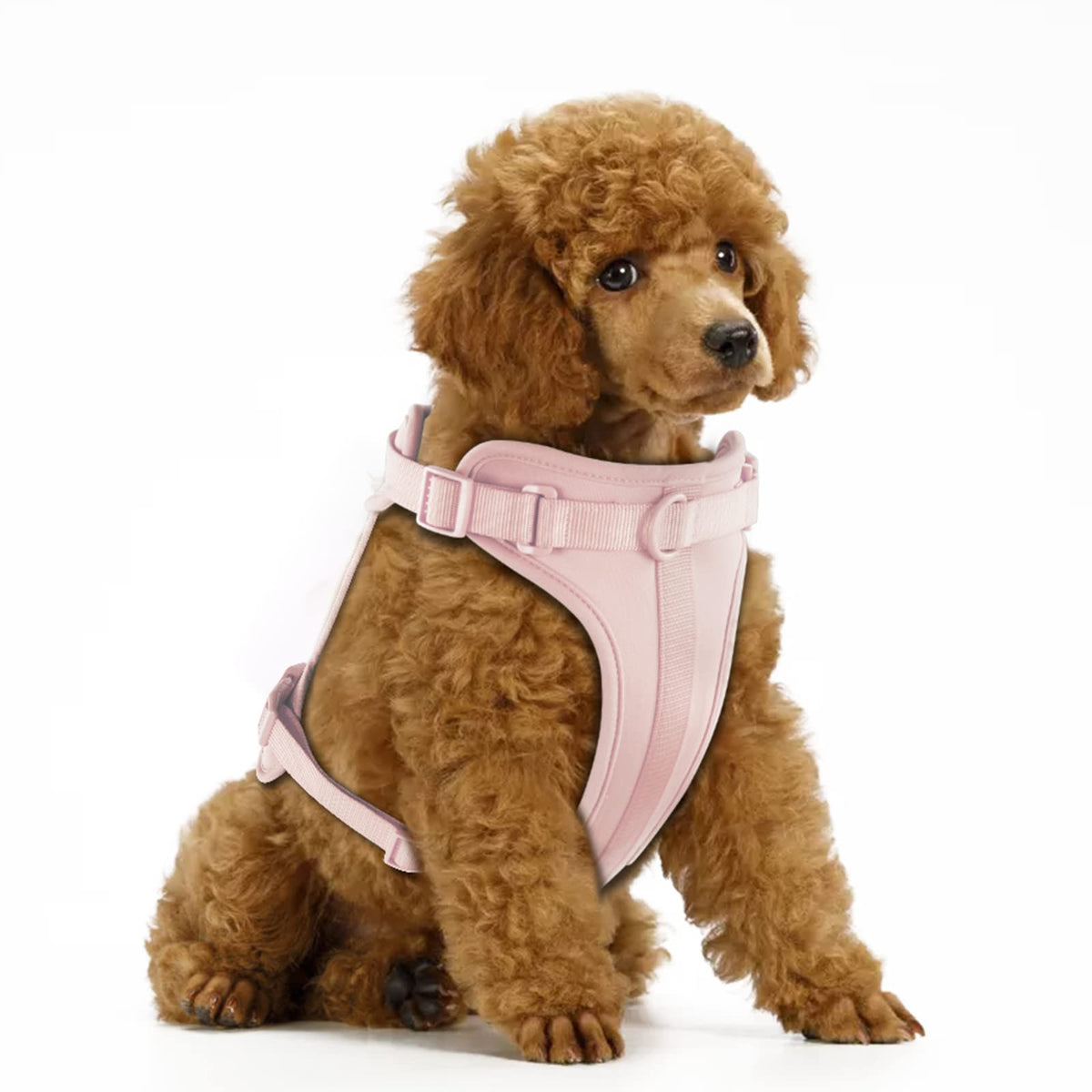 Wisedog No Pull Lightweight Dog Vest Harness With Soft And Comfortable Cushion, Breathable Mesh, For Small Medium Large Dogs Walking (S(Neck: 9.84'-14.17';Chest: 14.17'-22.05'), Gossamer Pink)