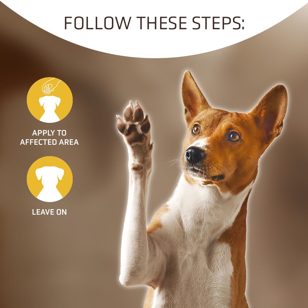 Artero X-Top Pet Hemostatic Powder (Dogs And Cats) - Instant Closes Small Bleedings Produced By Cut Of One Or Scratches.