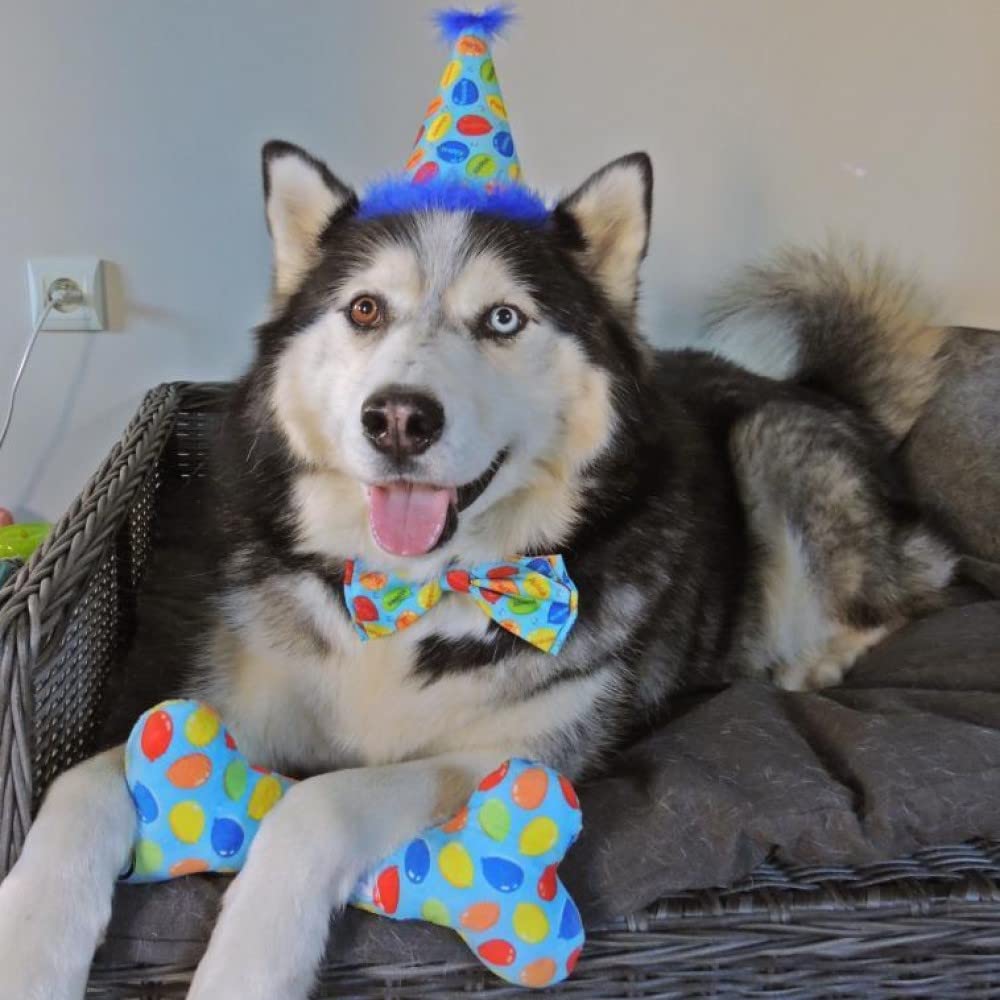 Huxley & Kent Party Time Blue Bone Birthday Power Plush Dog Toy With Squeaker (Large) | Funny And Cute H&K Squeaky Toy For Dogs