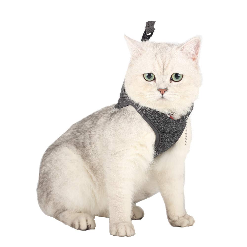 HEYWEAN Cat Harness and Leash - Ultra Light Escape Proof Kitten Collar Cat Walking Jacket with Running Cushioning Soft and Comfo