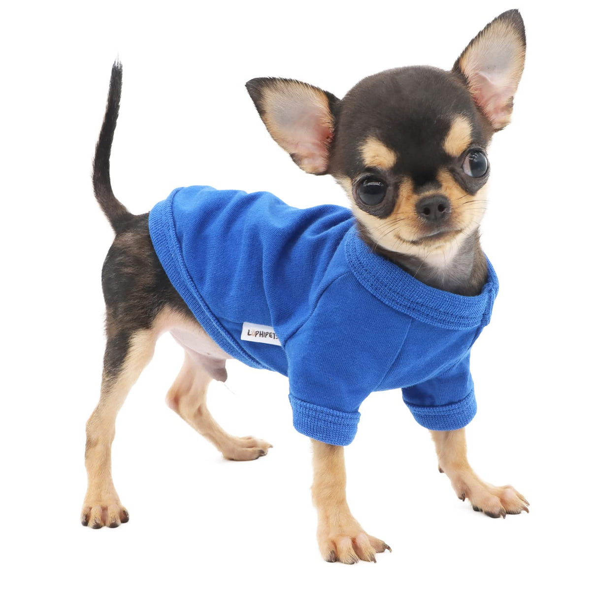 Lophipets 100% Cotton Dog Tee Shirt For Small Dogs Teacup Chihuahua Yorkie Puppy Clothes-Blue/Xs