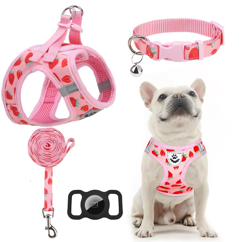 EXPAWLORER Small Dog Harness and Leash Set - Cute Puppy Harness Leash Dog Collar with AirTag Holder Silicone Case, Soft Padded S