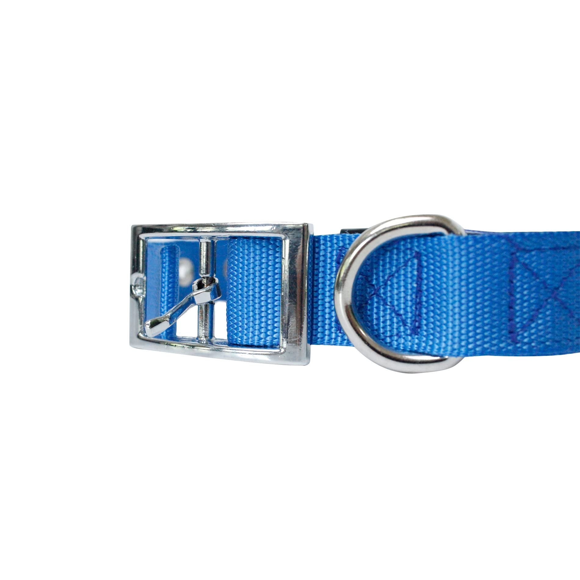 Downtown Pet Supply Deluxe Padded Adjustable Dog Collar - Metal Buckle & D-Ring - Machine Washable & Water Resistant - Blue - S
