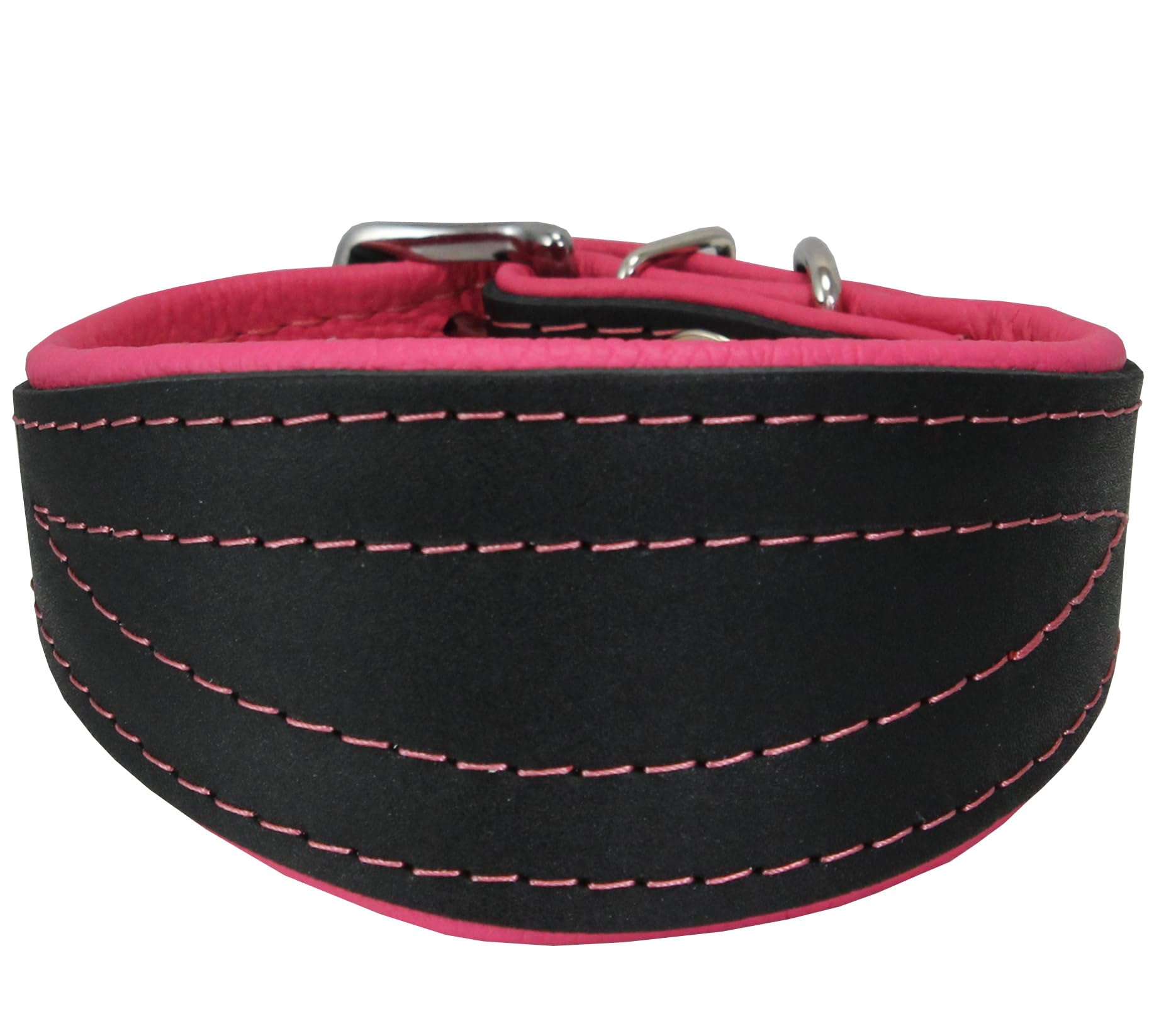 Real Leather Extra Wide Padded Tapered Dog Collar Glossy Black Greyhound Saluki Deerhound Lurcher Whippet Dachshund (11-13 Neck;