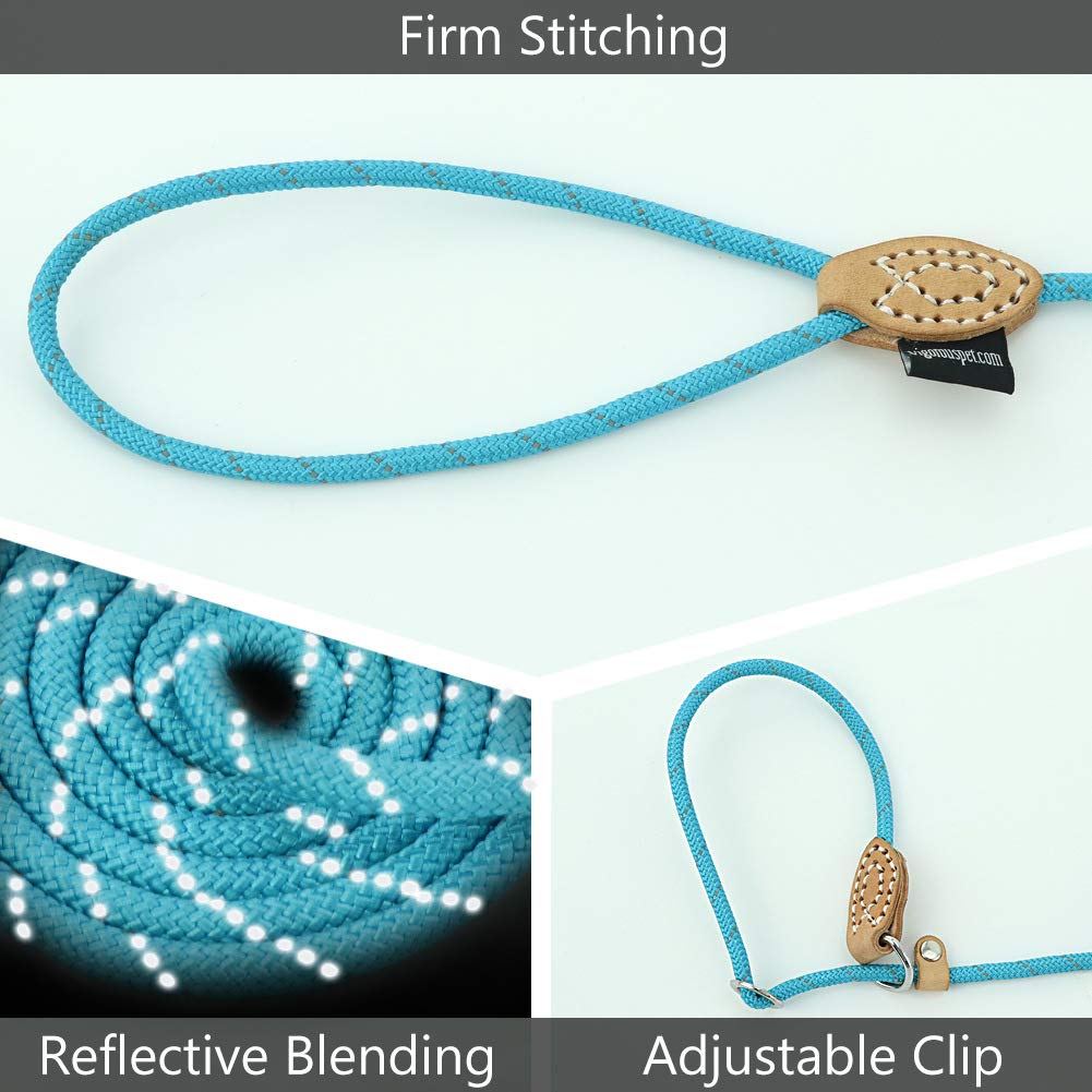 Grand Line Slip Lead Dog Leash, 5Ft Reflective Slip Rope, Puppy Training Walking Controlling Lead, Slip Collar Pet Leash For Small, Medium, Large Dogs (Blue, Small-1/4In X 5Ft)