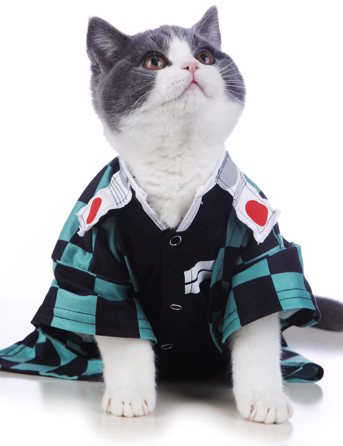 Impoosy Cat Halloween Costume Funny Puppy Clothing Kitten Cosplay Pet Clothes Small Dog Outfits (Small)