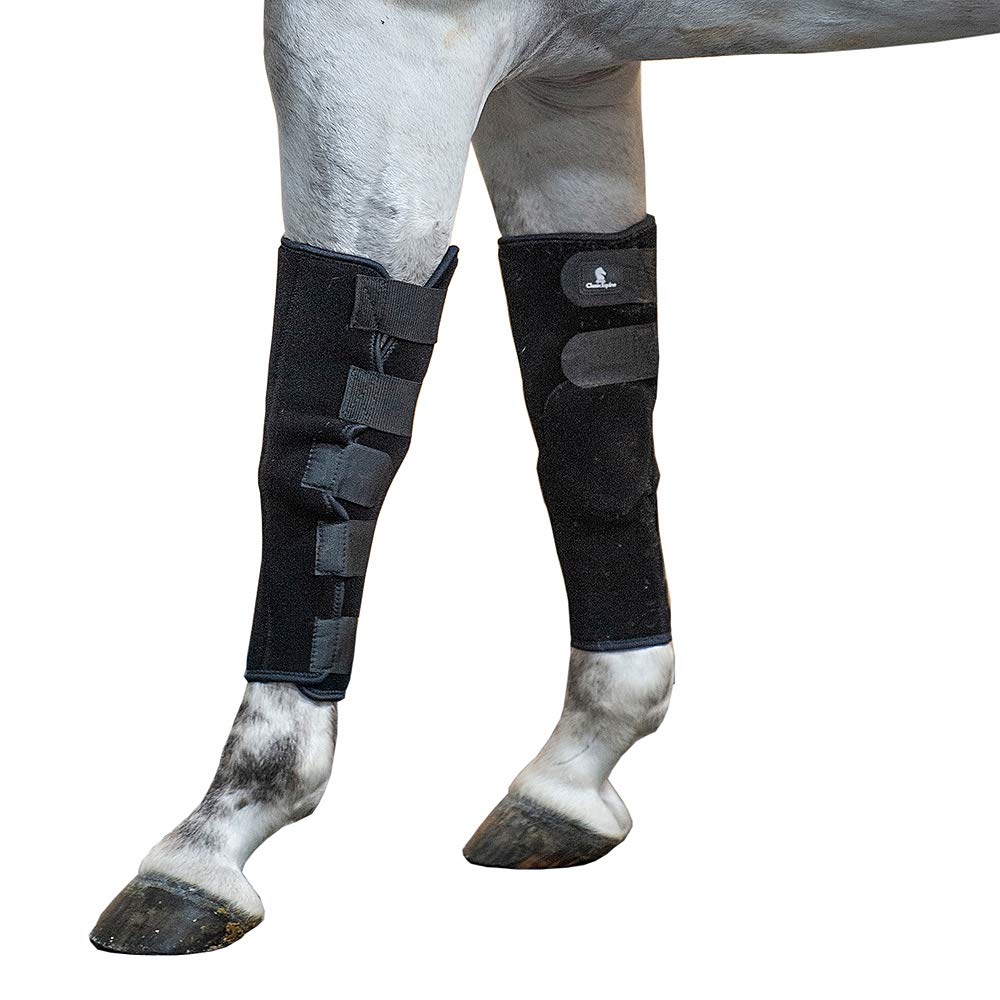 Classic Equine Horse Breeding Boots