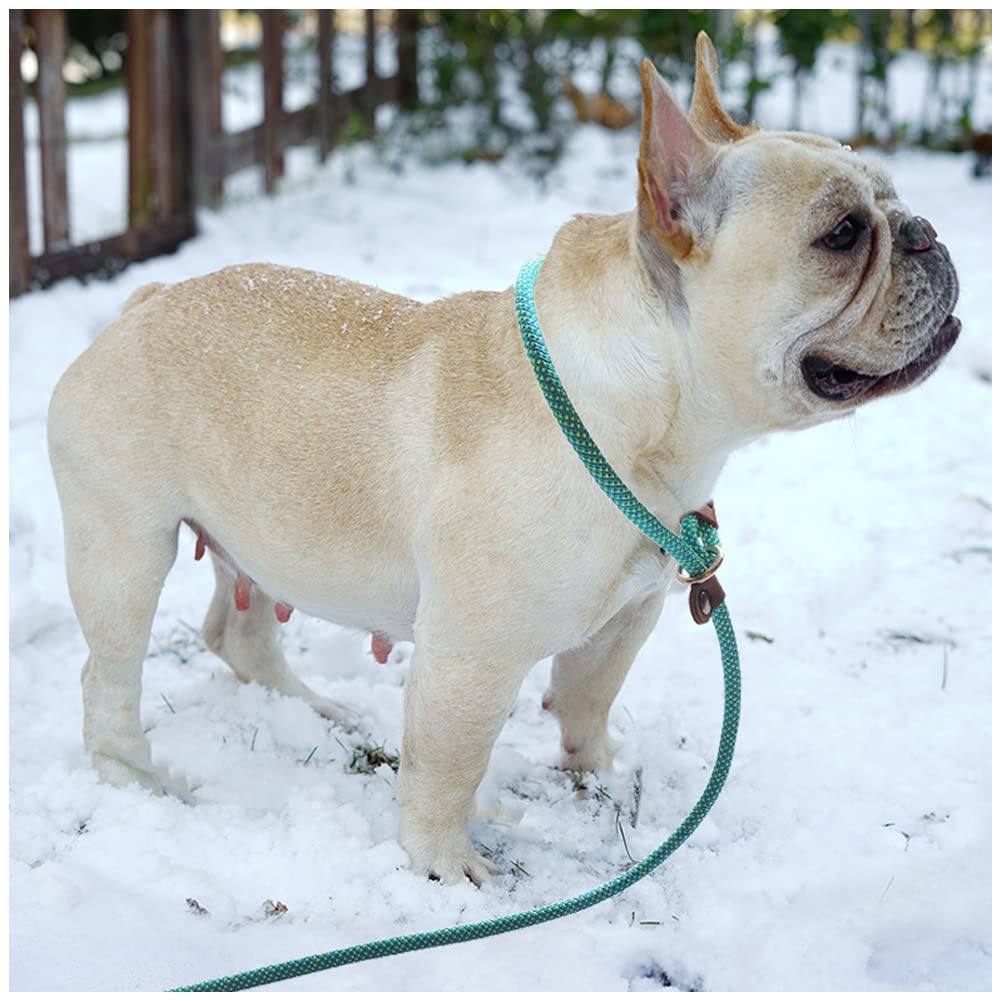 Btinesful 7Ft Slip Lead Dog Leash, Strong Nylon Rope Leash, 1/4 & 1/2 Inch Diam Dog Training Lead For Small Medium Large Dogs (1/4' * 7 Ft, Green Dot)