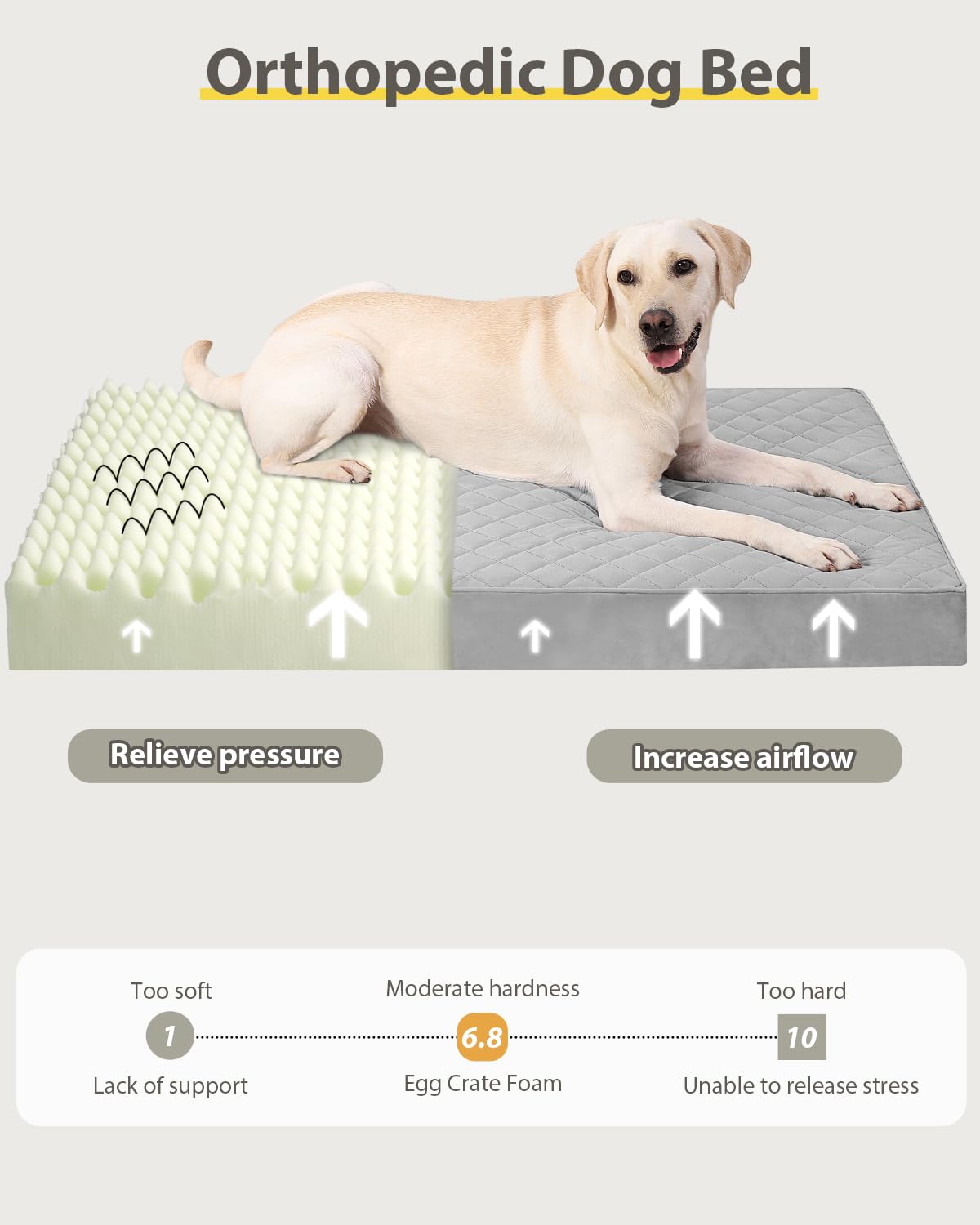 Nupida Orthopedic Dog Beds For Small Dogs Waterproof With Removable Washable Cover And Non-Slip Bottom, Quilting Dog Bed For Cra