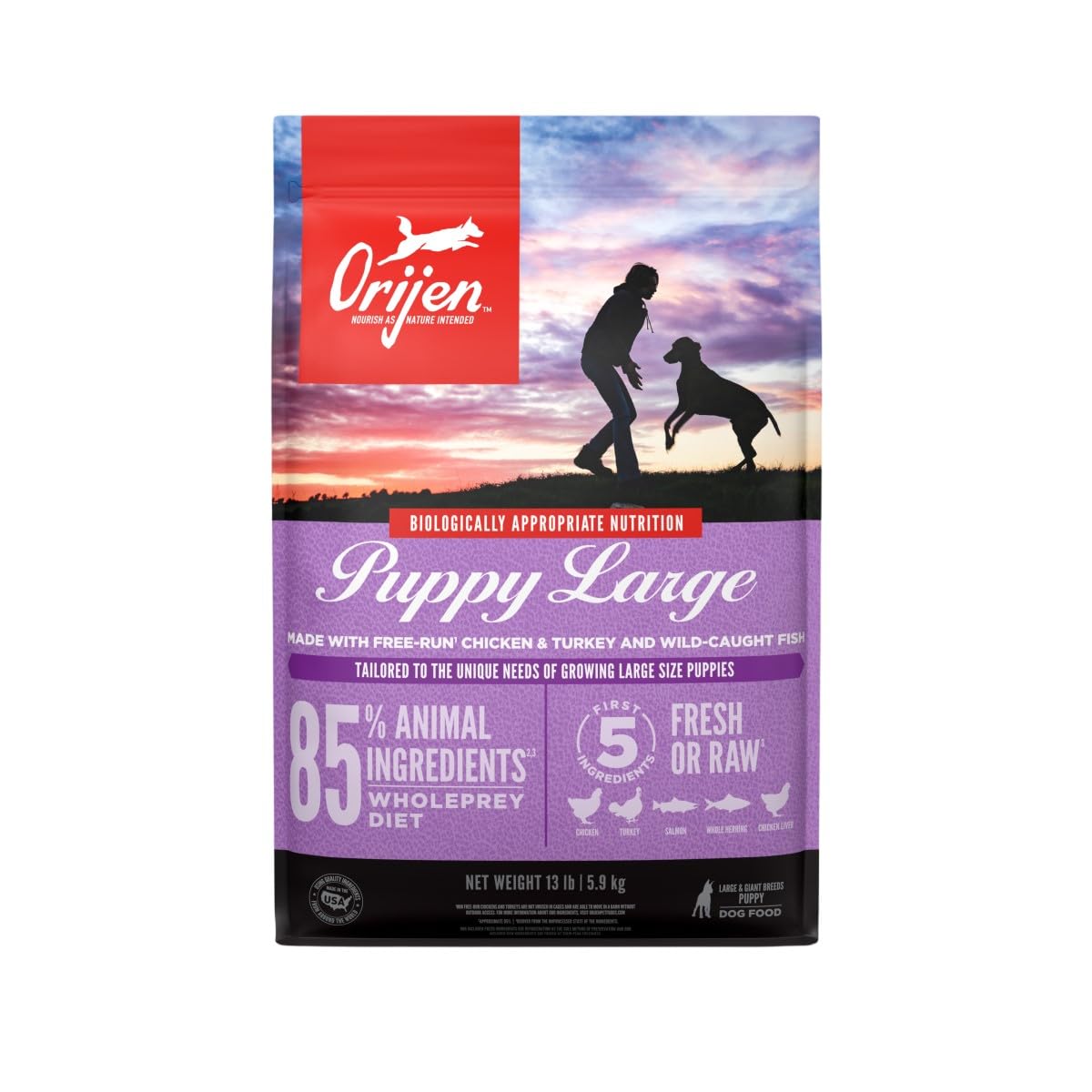 ORIJEN Puppy Large Dry Dog Food, Grain Free Dry Dog Food for Puppies, Fresh or Raw Ingredients, 13lb