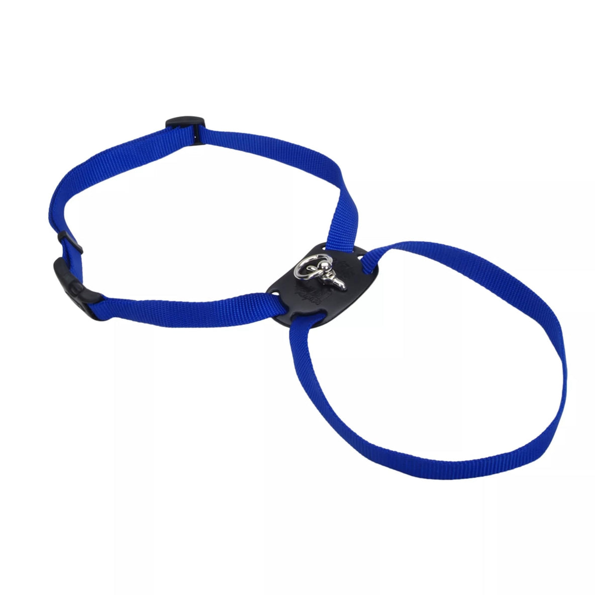 Coastal Pet Size Right Adjustable Dog Harness - Small & Big Dog Harness - Comfortable Dog Training Harness - Includes Snap-Lock Buckle - Quality Dog Supplies - Blue, 1' X 30-38'