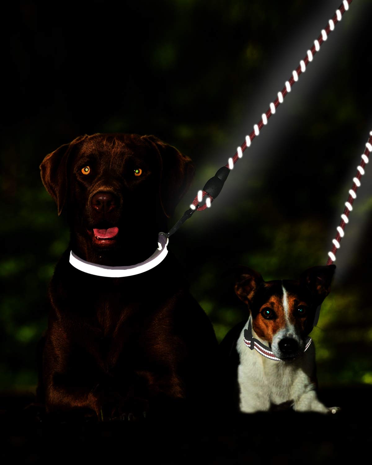 Taglory Double Dog Leash | Reflective Rope | No Tangle | Double Leash For Two Dogs | Puppy Small Medium Breeds | Pink