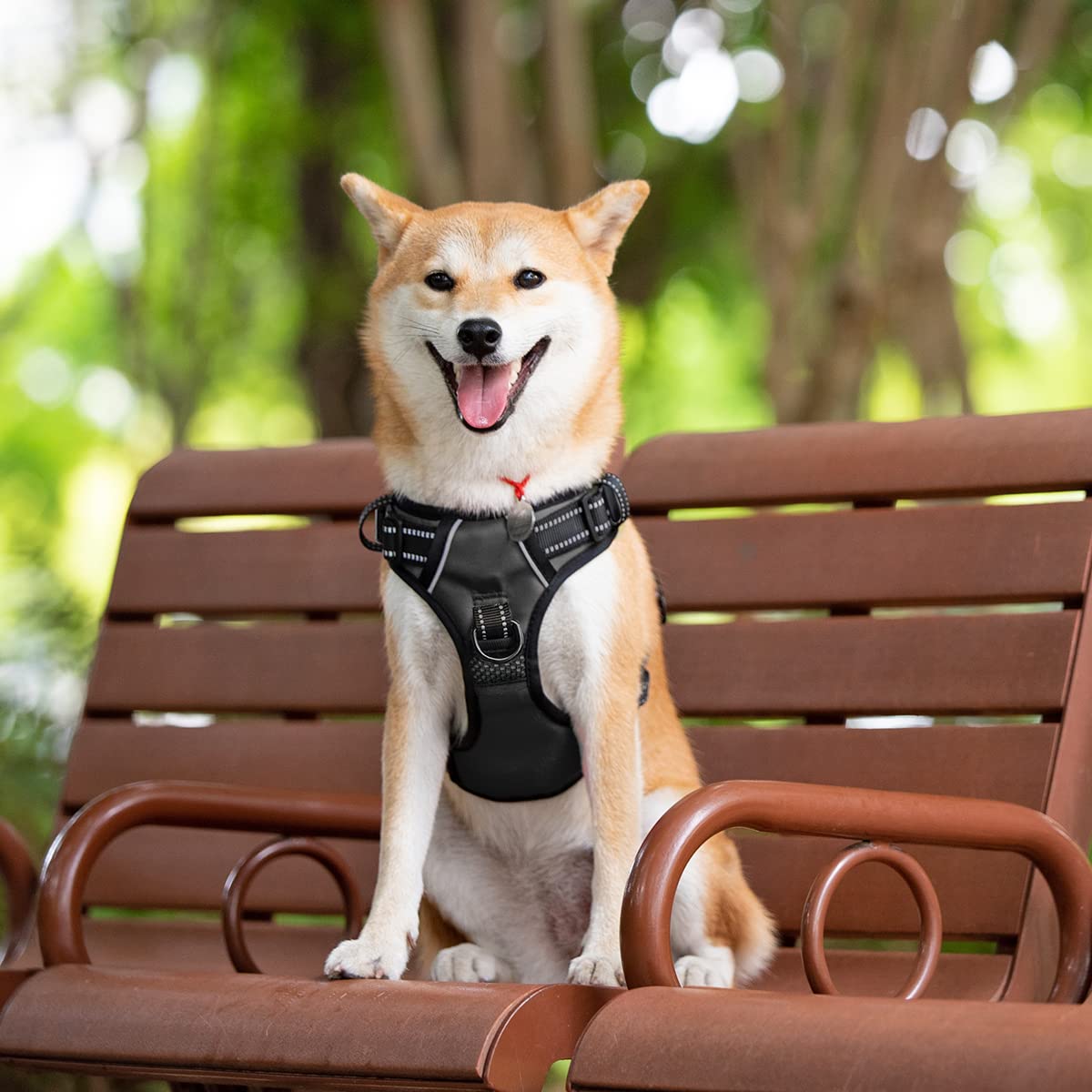 Poypet 2019 Upgraded No Pull Dog Harness With 4 Snap Buckles, 3M Reflective With Front & Back 2 Leash Hooks And An Easy Control Handle For Large Breed Dogs [No Need Go Over Dog’S Head] (Black,Xl)