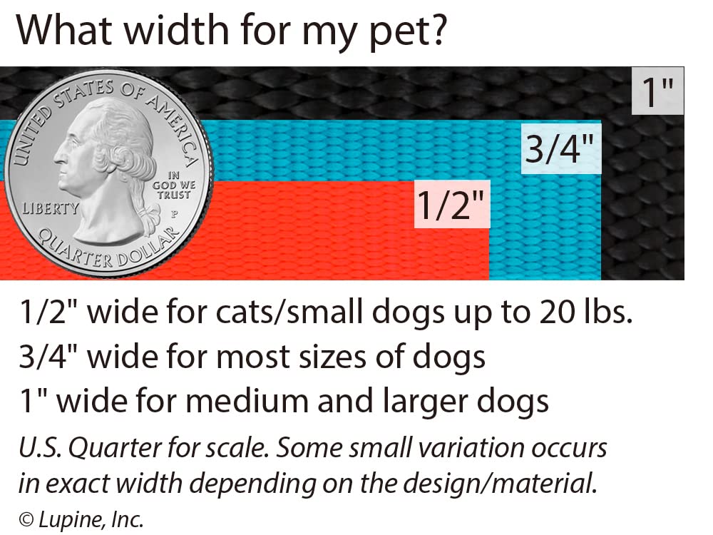 Dog Leash by Lupine in 1 Wide Blaze Orange 6-Foot Long with Padded Handle