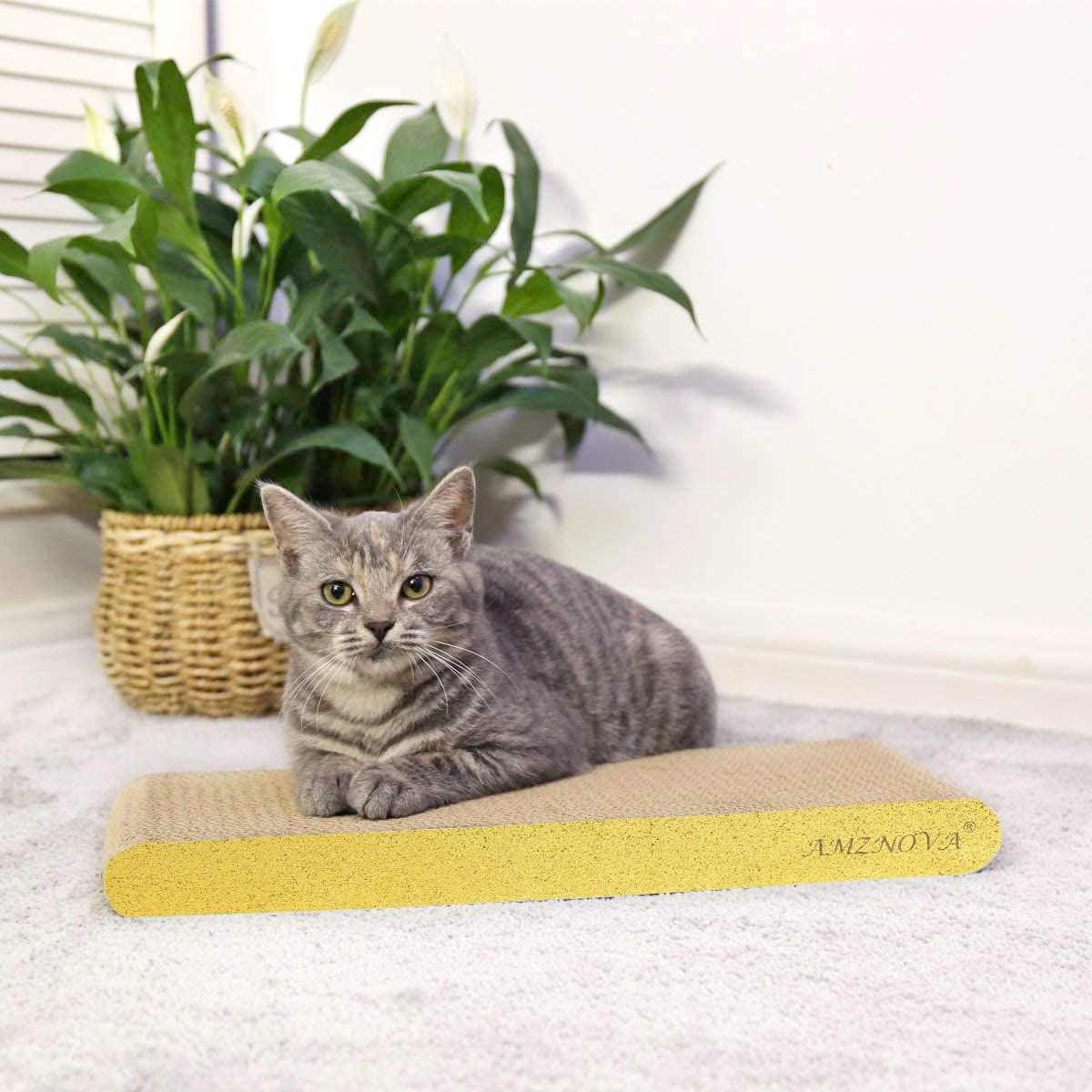 Amznova Cat Scratcher, Scratching Pad, Durable Recyclable Cardboard With Catnip, Narrow, Glitter Gold
