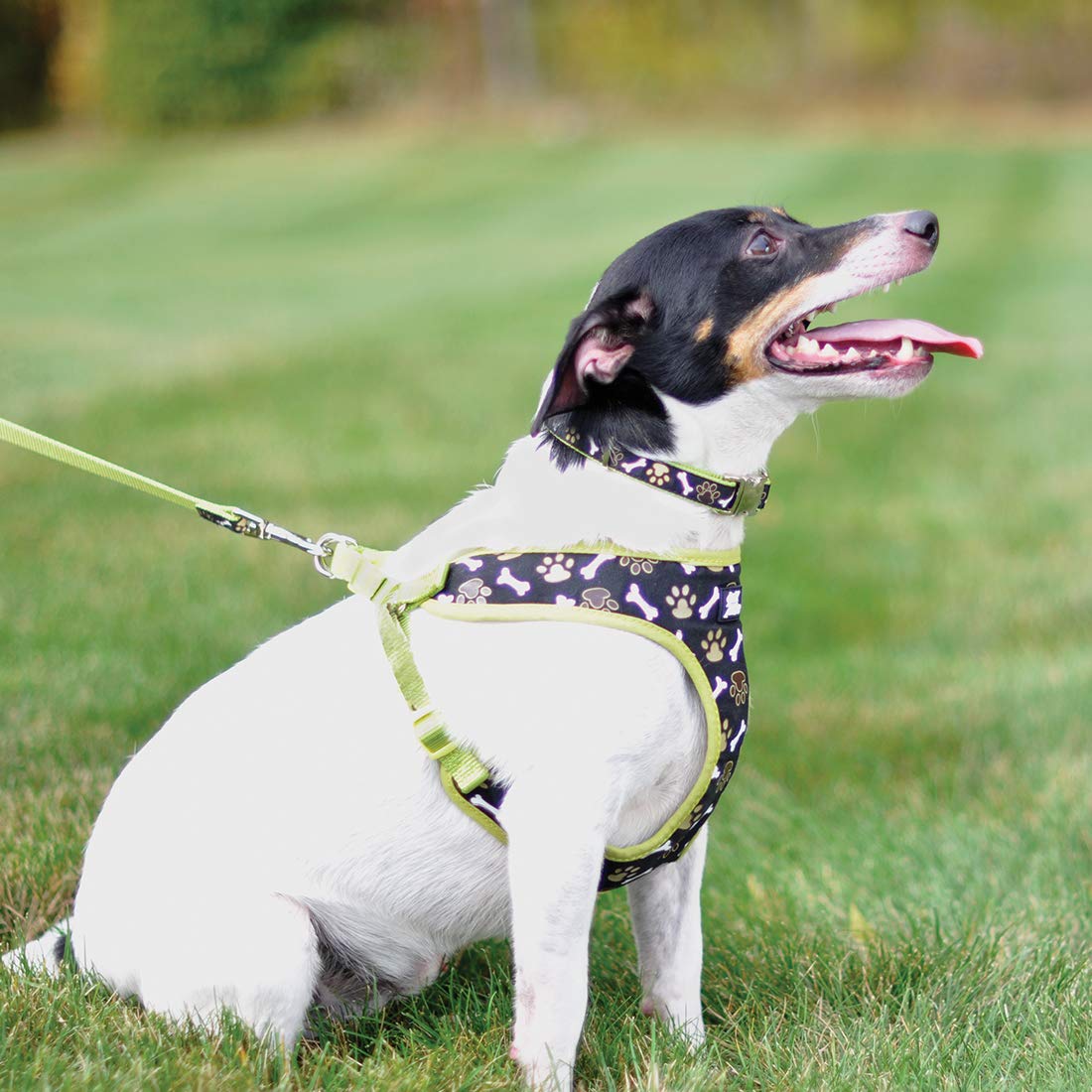 Coastal Pet Ribbon Designer Wrap Adjustable Dog Harness - Large & Small Dog Harness - Breathable Mesh Harness For Dogs Pet Supplies For Dogs - Brown Paws & Bones, 5/8' X 16-19'