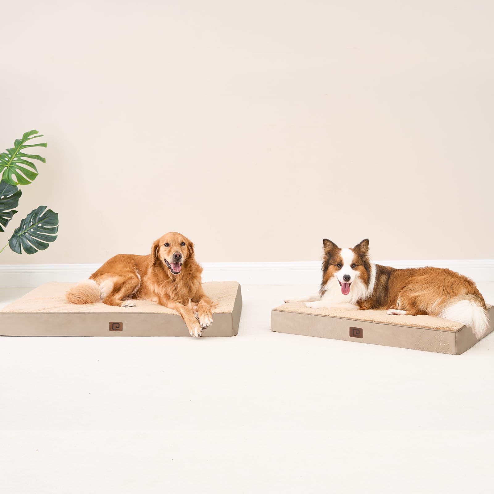 Eheyciga Orthopedic Dog Beds For Large Dogs With Removable Washable Cover, Khaki, 36X27