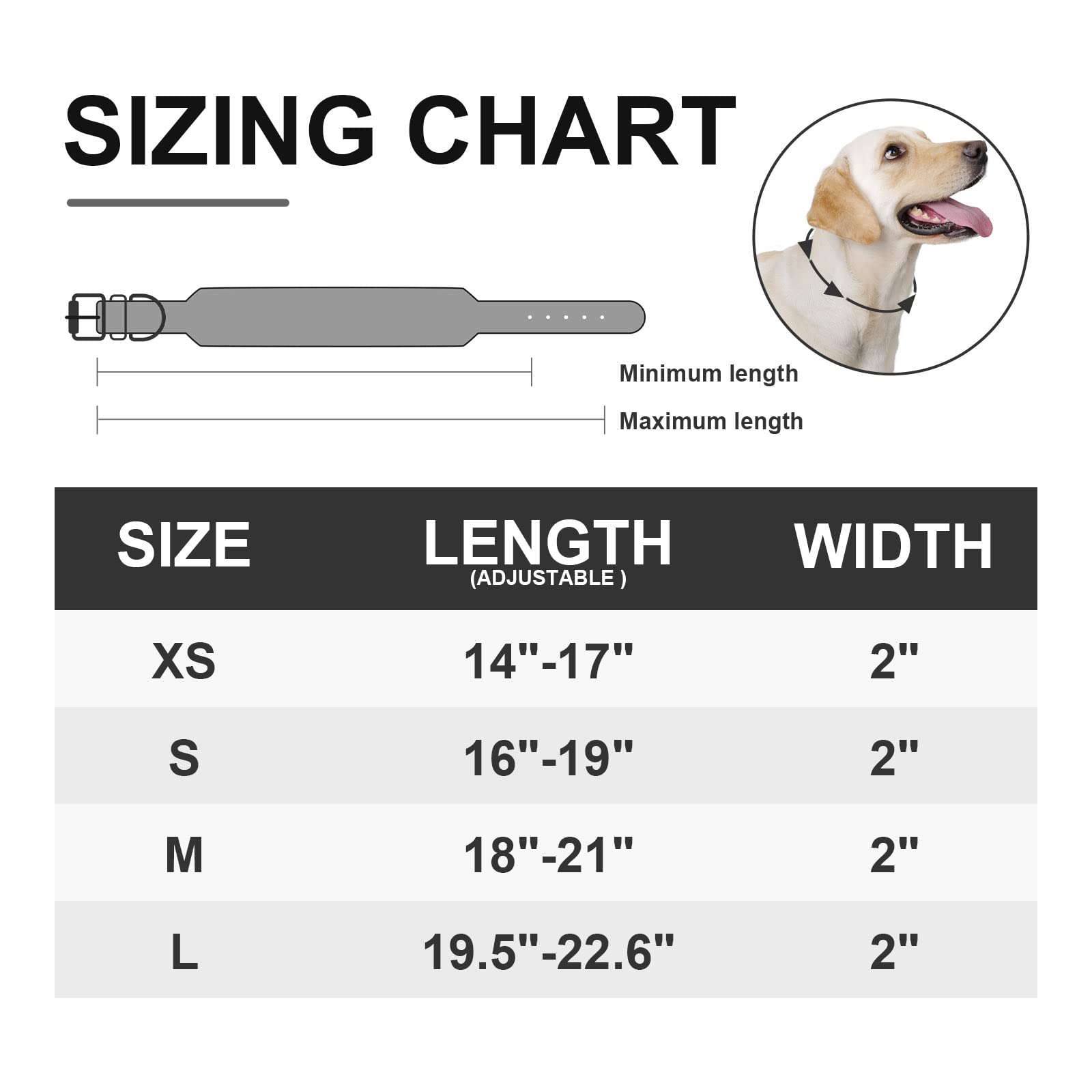 Wide Gold Spiked Dog Collar, Epesiri Dog Chain Collars, Mushroom Rivet PU Leather Dog Collars, Adjustable Durable Spike Studded