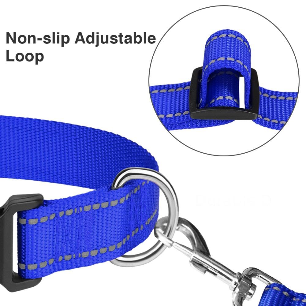 Taglory Reflective Adjustable Dog Collars For Puppy Small Medium Large Dogs, Thin Nylon Webbing And Quick Release Plastic Buckle(Royal Blue,Large)