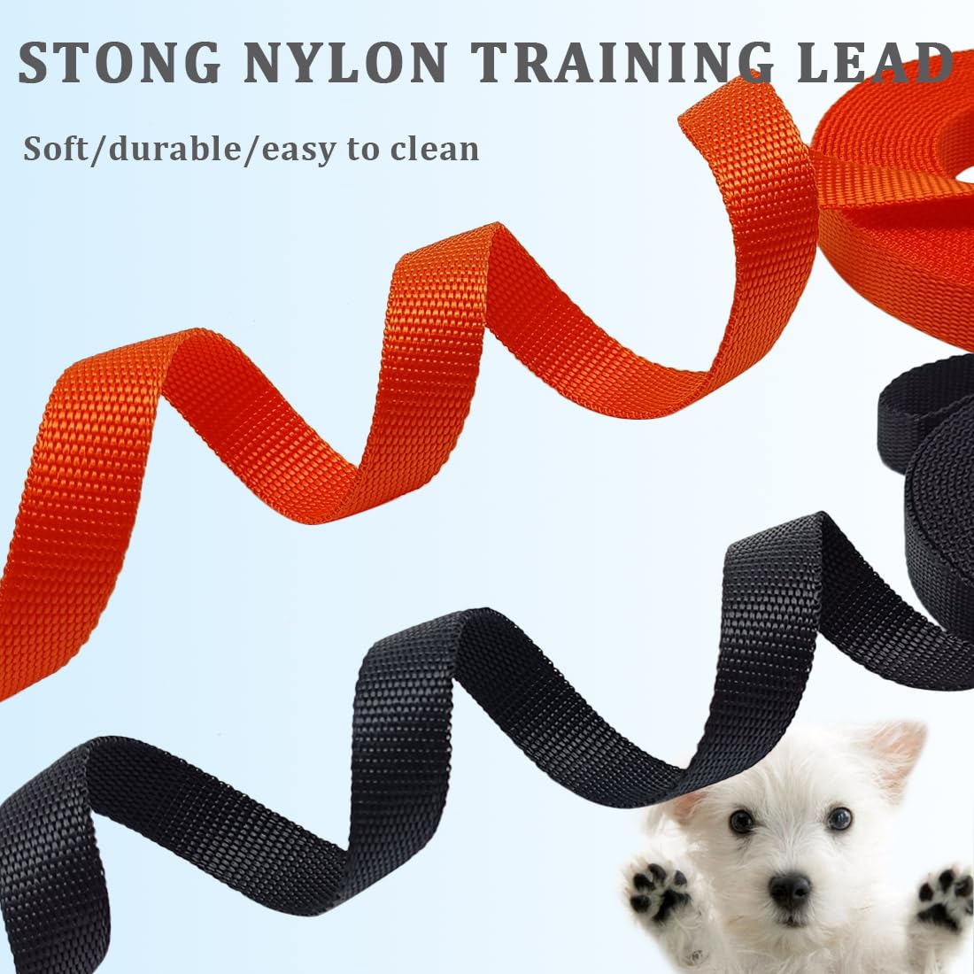 Wyuze 2 Pack Flat Nylon Dog Leash, 6/10/20 Ft Long Recall Training Lead, 3/4 Inch Wide Traditional Pet Leash For Small Medium Do