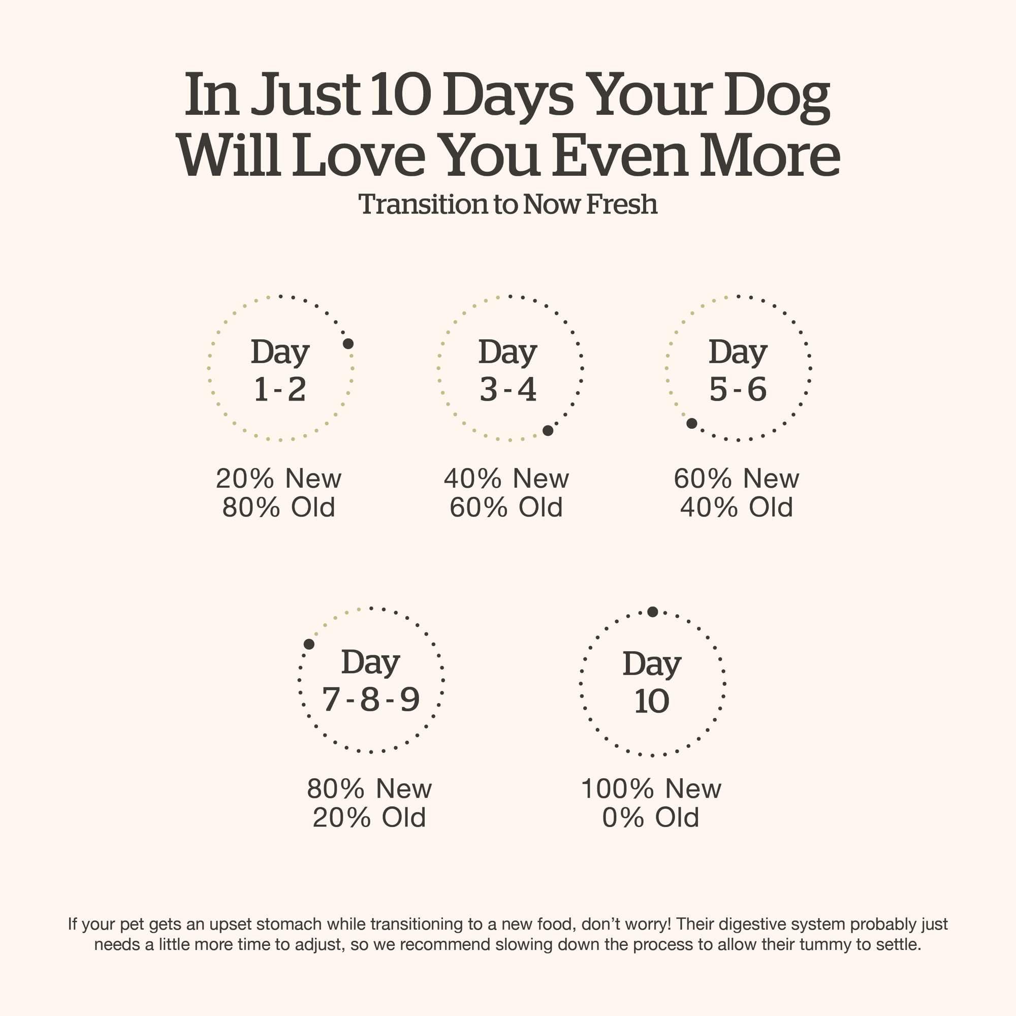 Now Fresh Grain-Free Dry Dog Food, Lamb & Pork, 22 lb Bag, Healthy Kibble for Adults, Chicken-Free, with Pumpkin & Probiotics