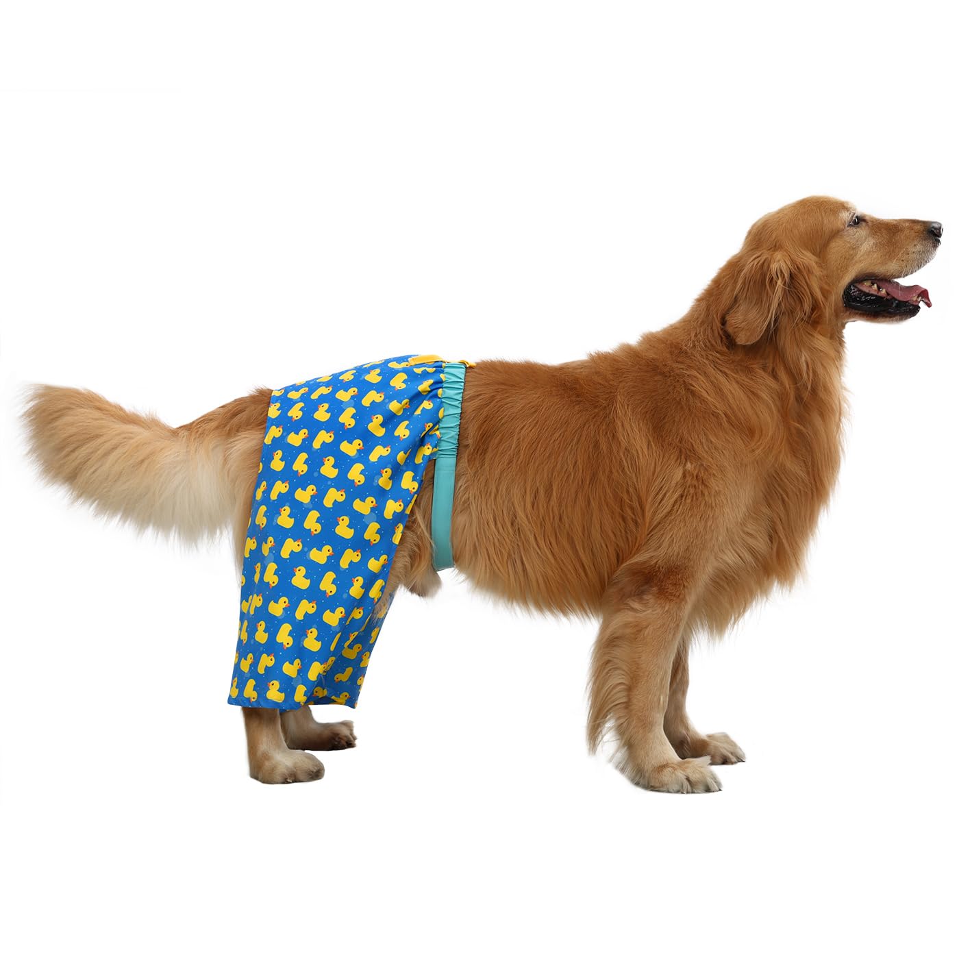 Hde Dog Swim Trunks Hawaiian Board Shorts Beach Pool Swimsuit For Xs To Xxl Dogs Rubber Ducks - Xxl