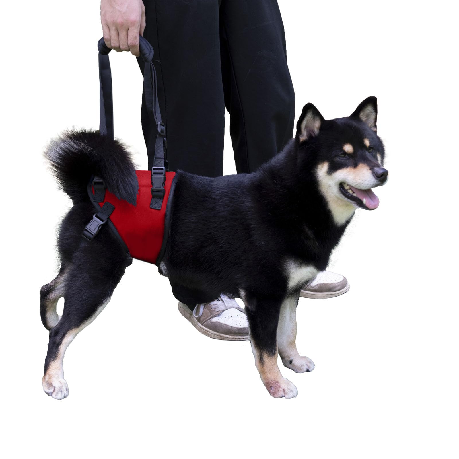 Sling For Dogs With Injuries And Stifle Weakness - Support Device For Disability And Injuries - Dog Carrier For Arthritic Anteri