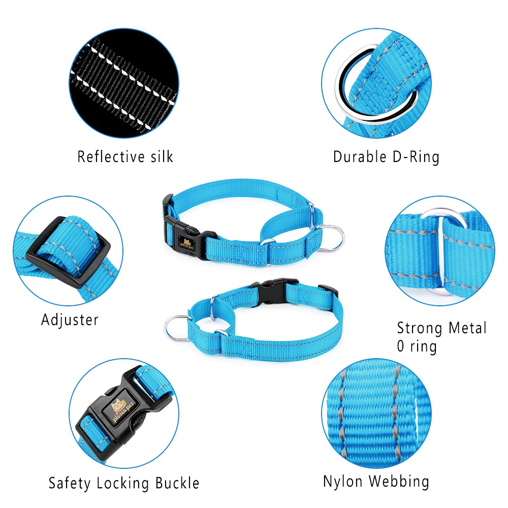 Plutus Pet Reflective Martingale Collar With Quick Snap Buckle,No Pull Dog Choker Collar For Small Medium Large Dogs,L,Blue