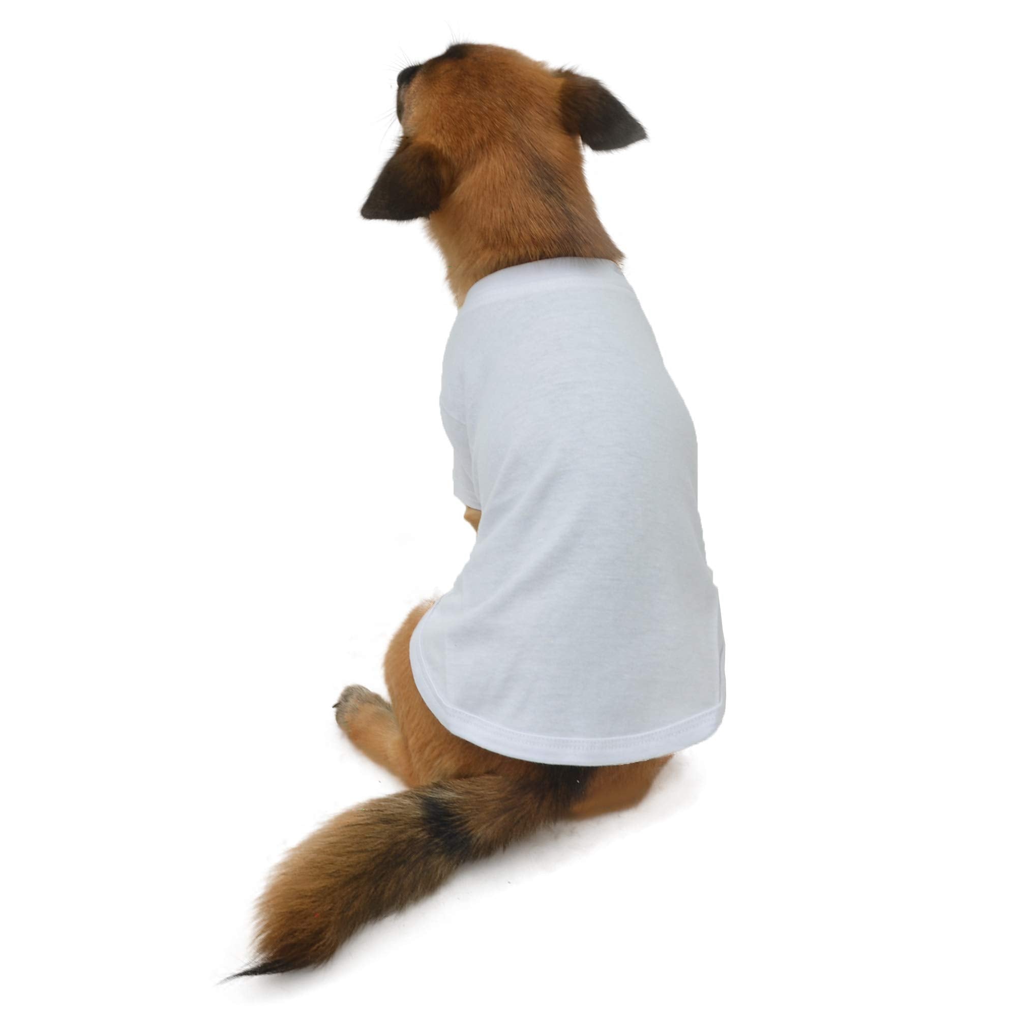 Lovelonglong 2019 Pet Clothing Dog Costumes Dachshund Clothes Blank T-Shirt Tee Shirts For Dachshund Dogs,Corgi 100% Cotton White D-M