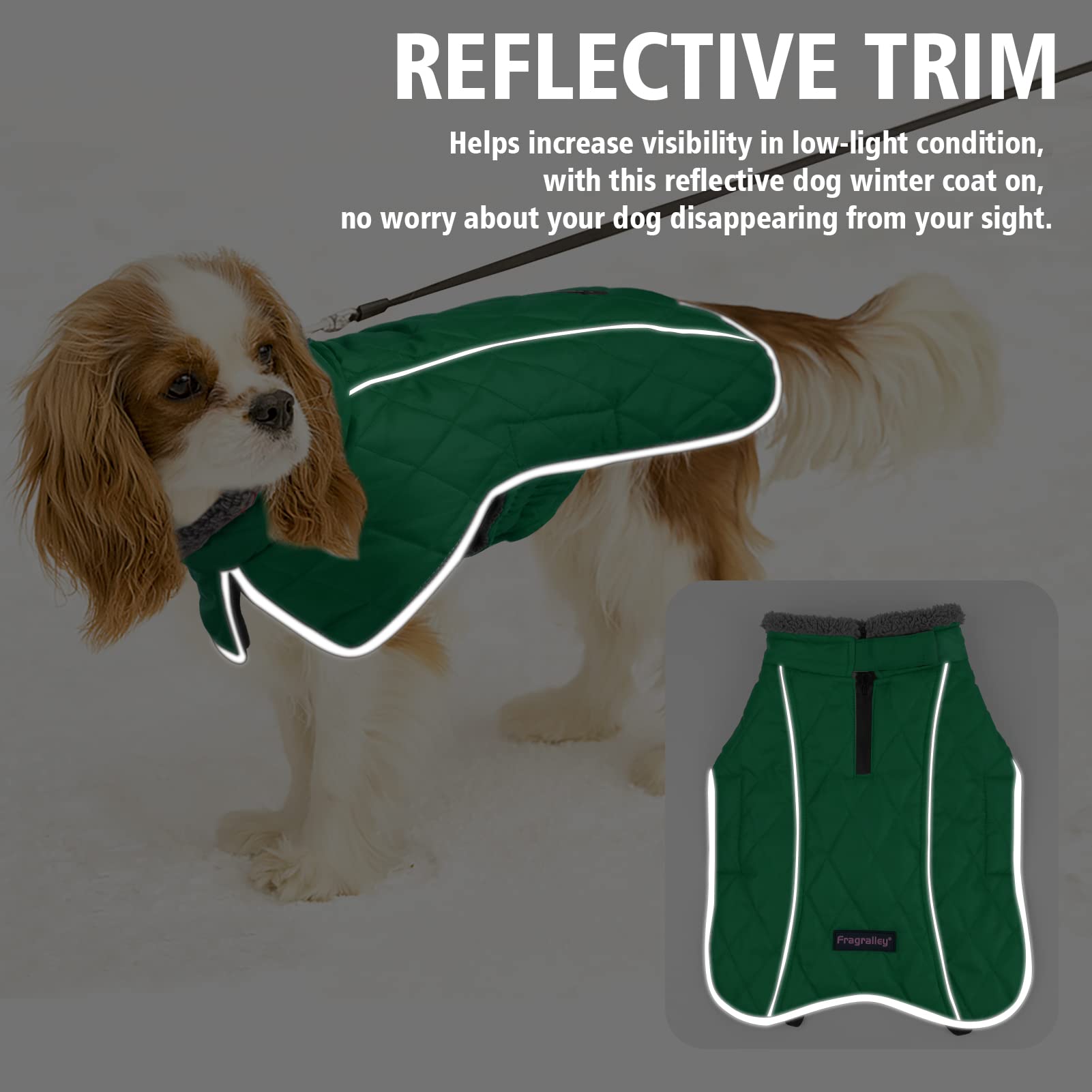 Fragralley Waterproof Dog Coat Small - Warm Fleece Lining, Adjustable Reflective Winter Jacket, Green, Model TC2011