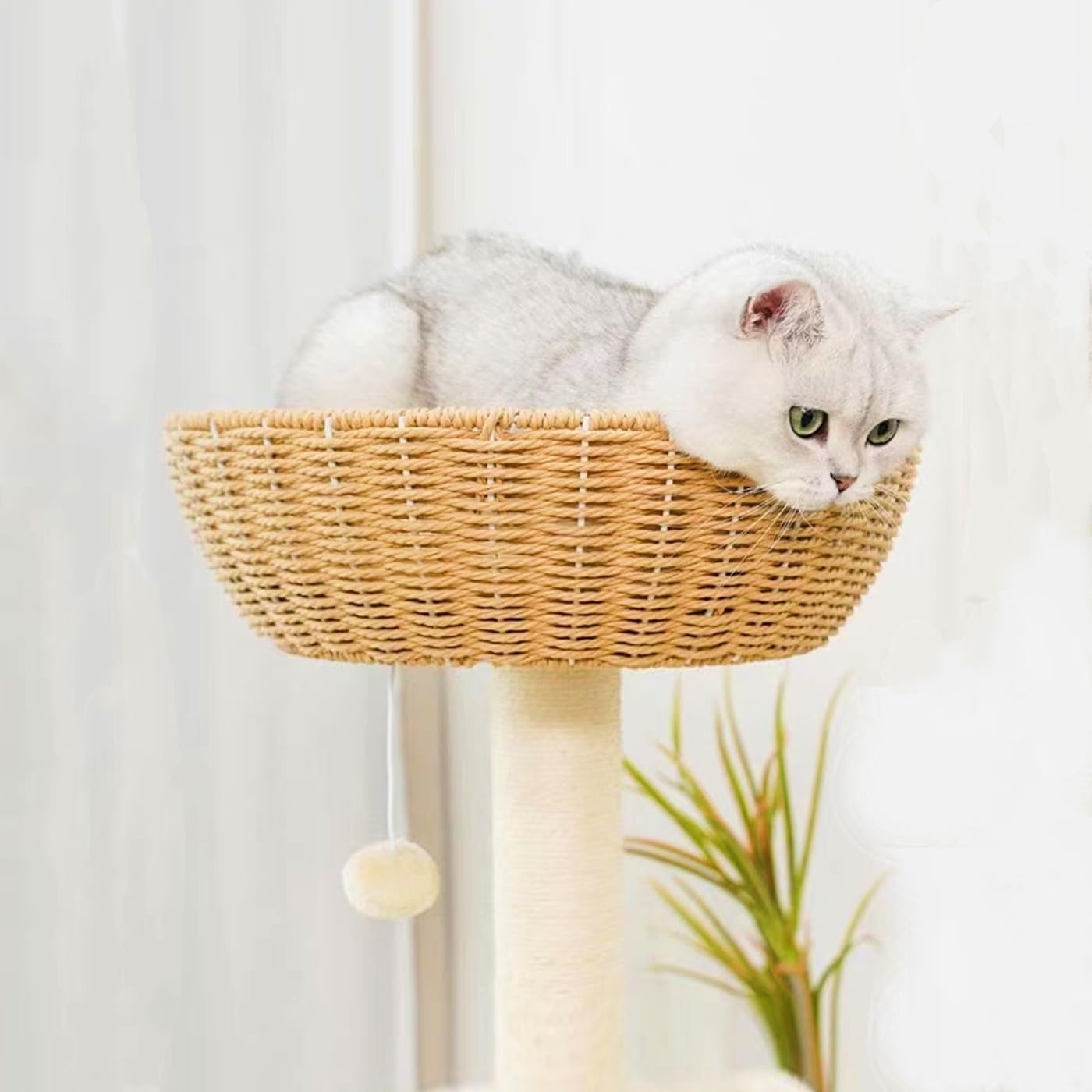Shengocase Cat Tree Tower With Rattan Wicker Basket, Handwoven Large Nest Basket Bed, Window Perch For Large Cats Up To 20Lbs