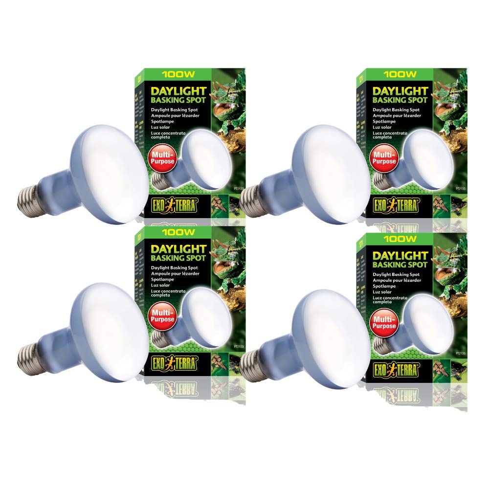 Exo Terra Sun-Glo Basking Spot Lamp, 100-Watt/120-Volt (4 Pack)