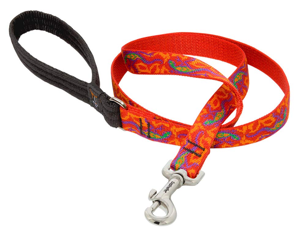 LupinePet Originals 3/4" Go Go Gecko 6-Foot Padded Handle Leash for Medium and Larger Dogs