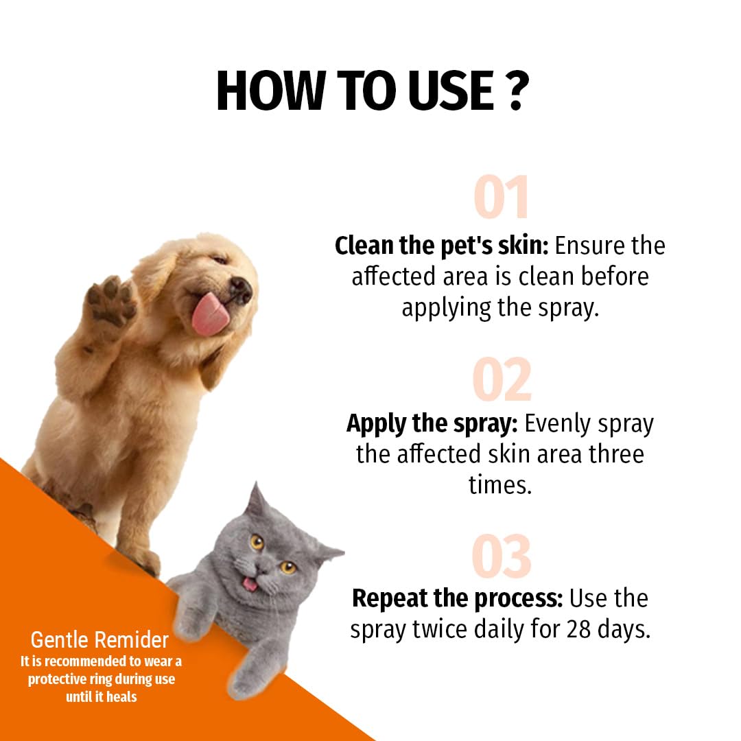 Cassiel pet Hot Spot Spray for Dogs, Itch Relief Spray & Hot Spot Treatment for Dogs, Helps Alleviate Allergies Dry Itchy Skin,