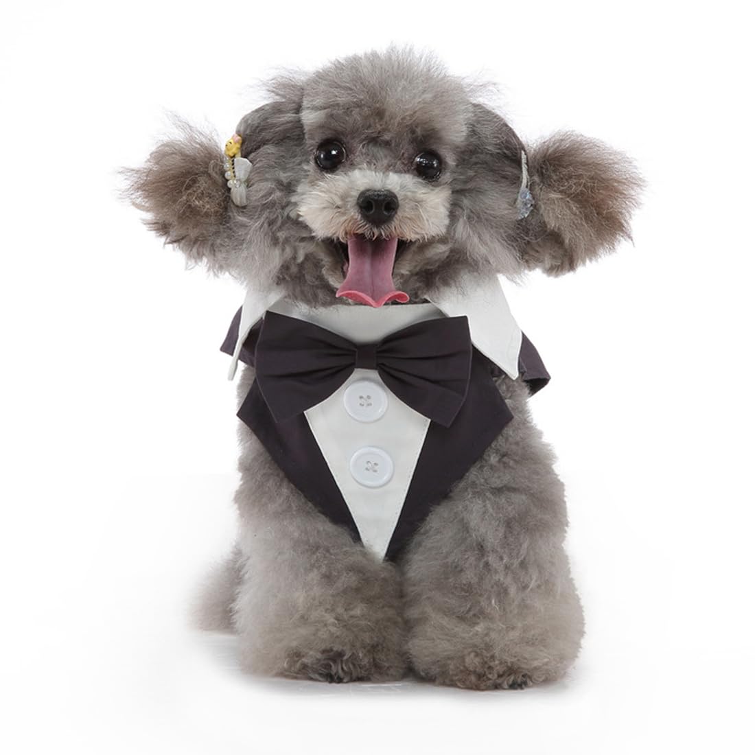 Doteyayp Puppy Tuxedo With Detachable Bowtie Prom Wedding Formal Wear Prince Costume For Small Dog (Small, Grey)