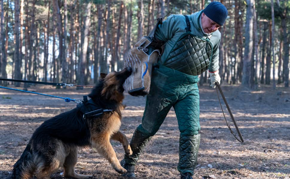 Pssopp Cowhide Dog Agitation Whip Dog Teaser Wand Dog Training Whip Dog Teaser Wand Outdoor Playing For Pulling, Chasing, Chewing, Teasing, Training