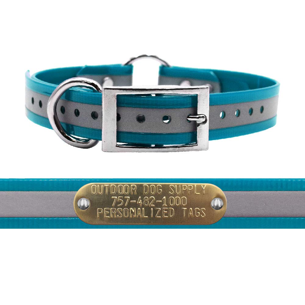Outdoor Dog Supply'S 1' Wide Reflective Ring In Center Dog Collar Strap With Custom Brass Name Plate (21' Long, Reflective Teal)