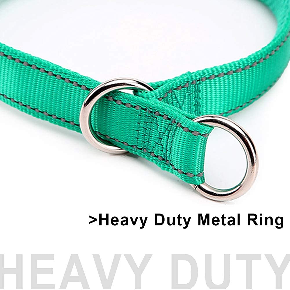 Mycicy Reflective Dog Choke Collar, Soft Nylon Training Slip Collar For Dogs (5/8' W X 15.5' L, Turquoise)