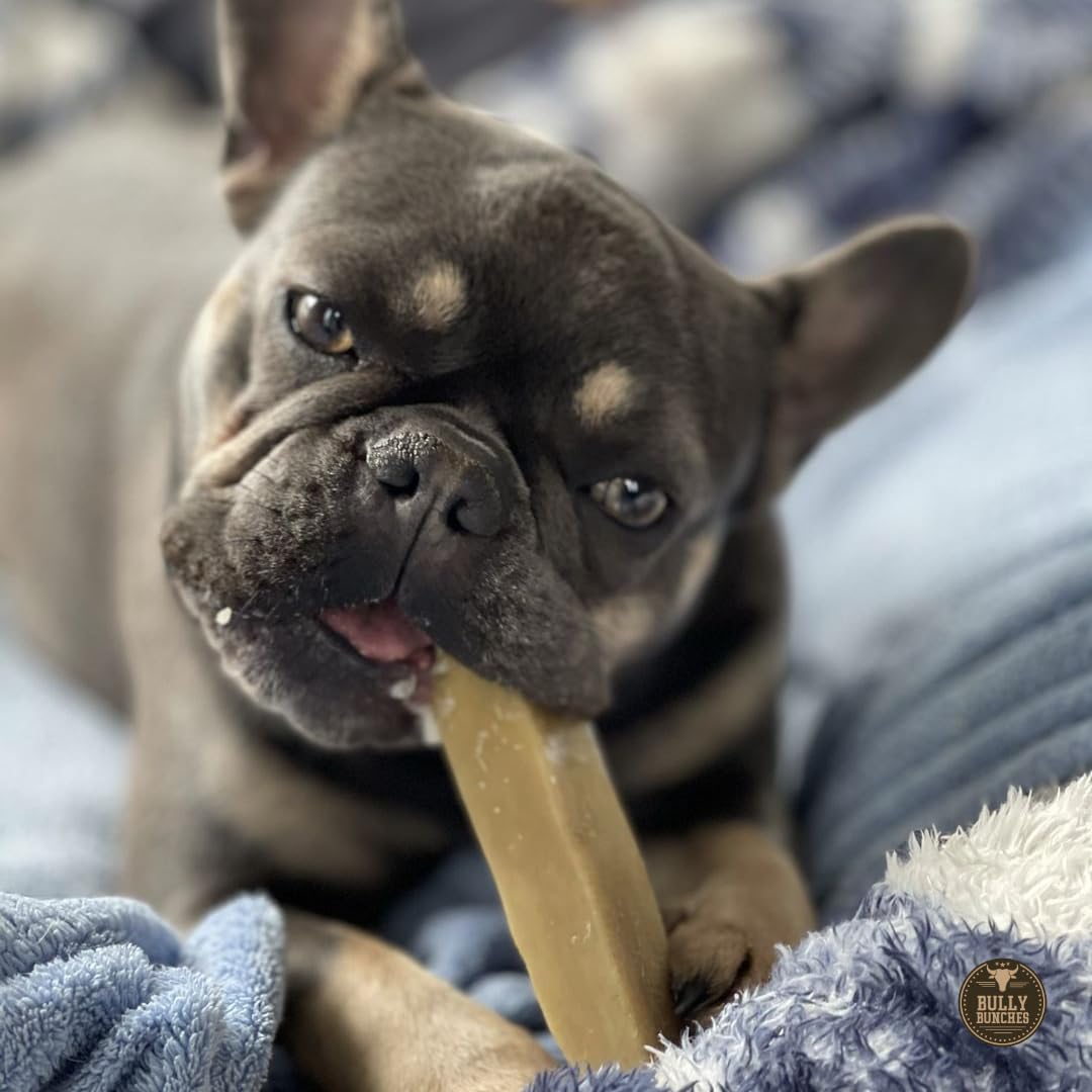Bully Bunches Small Authentic Yak Cheese Himalayan Chews for Small Dogs & Puppies - All Natural Dog Treat Dental Chews, Made wit