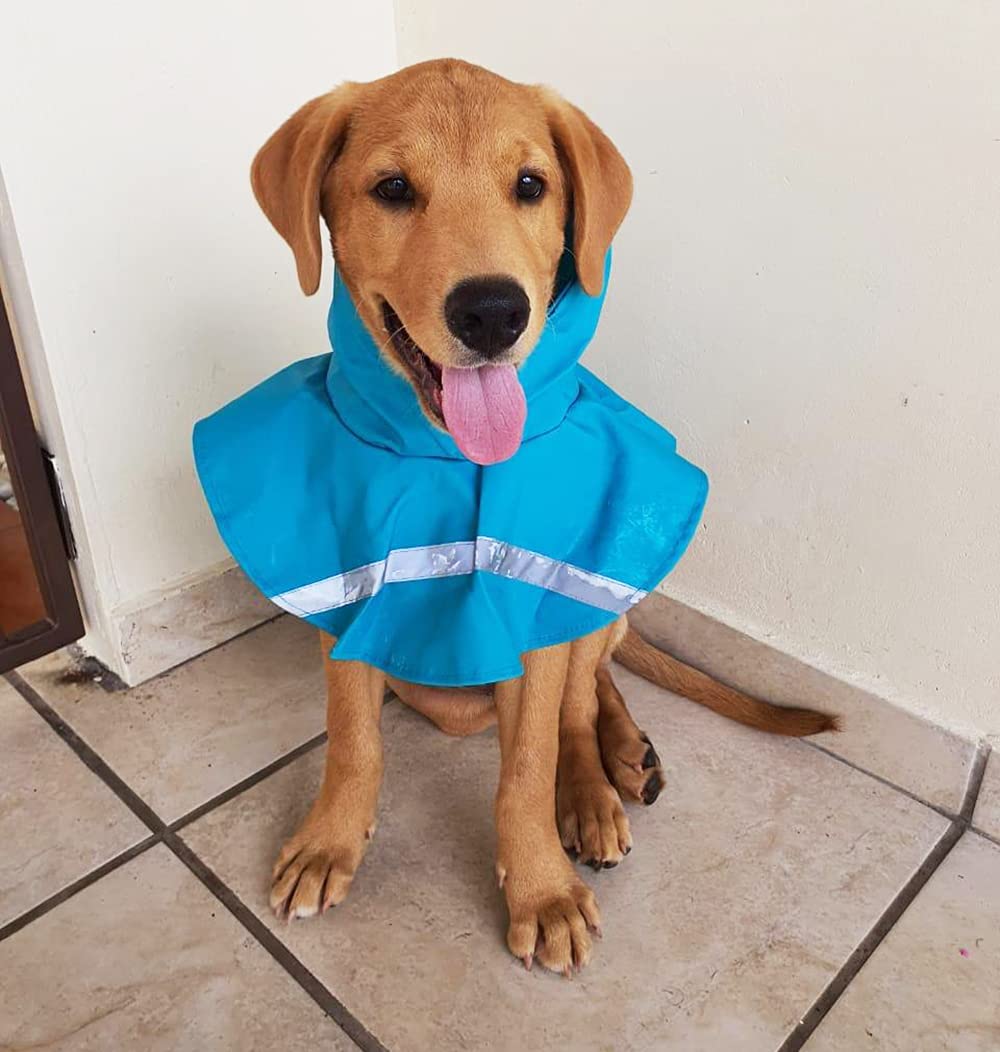 Hapee Dog Raincoats For Large Dogs With Reflective Strip Hoodie,Rain Poncho Jacket For Dogs C3-Lake Blue