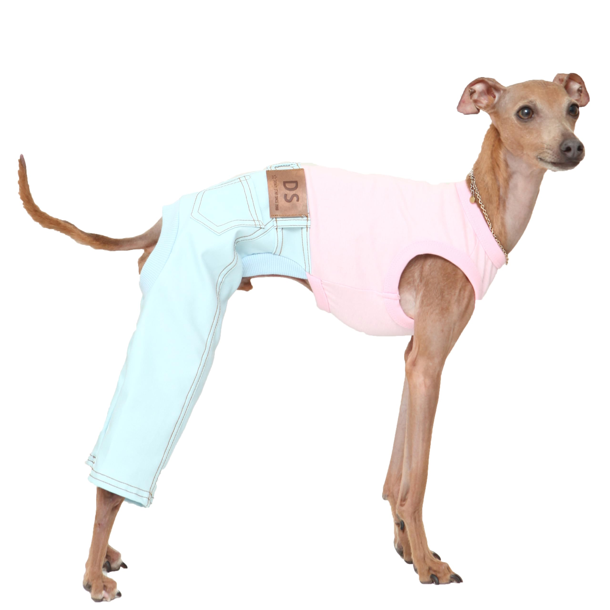 D Doggy Star Italian Greyhound Clothes Sleeveless Jeans Onesie Outfit Whippet For Dog Coat (2Xl,Sky Blue Jean)