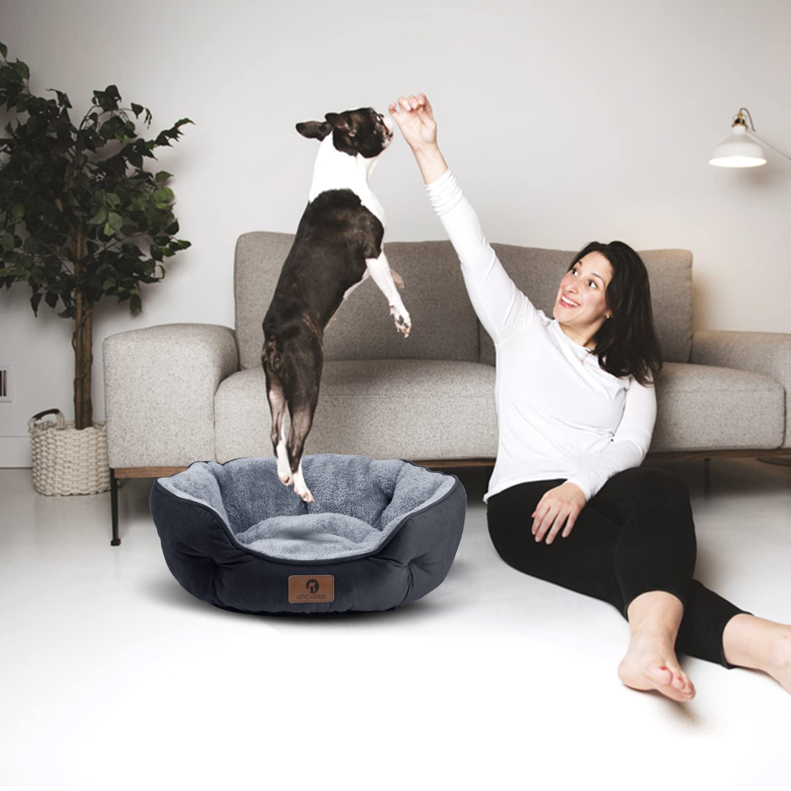 Asvin Medium Dog Bed - Soft & Washable Pet Bed for Dogs & Cats, Anti-Slip & Water-Resistant, Black, 25 inches