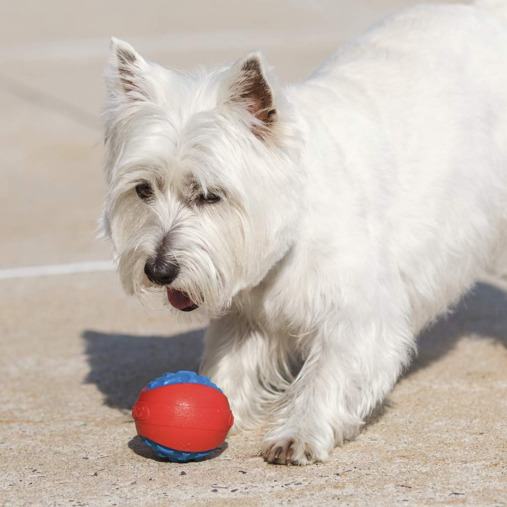 Hero Outer Armor, Durable Ball Dog Toy, Floats & Squeaks, Large - Purple & Green