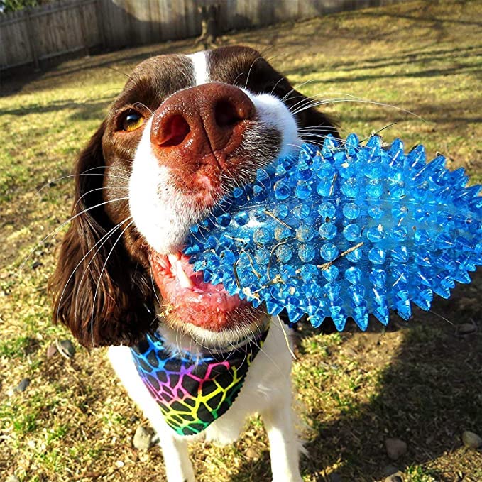Dog Trust Spiky Squeaker Football Dog Toy  Cleans Teeth and Promotes Good Dental and Gum Health for Your Pet  Multicolor