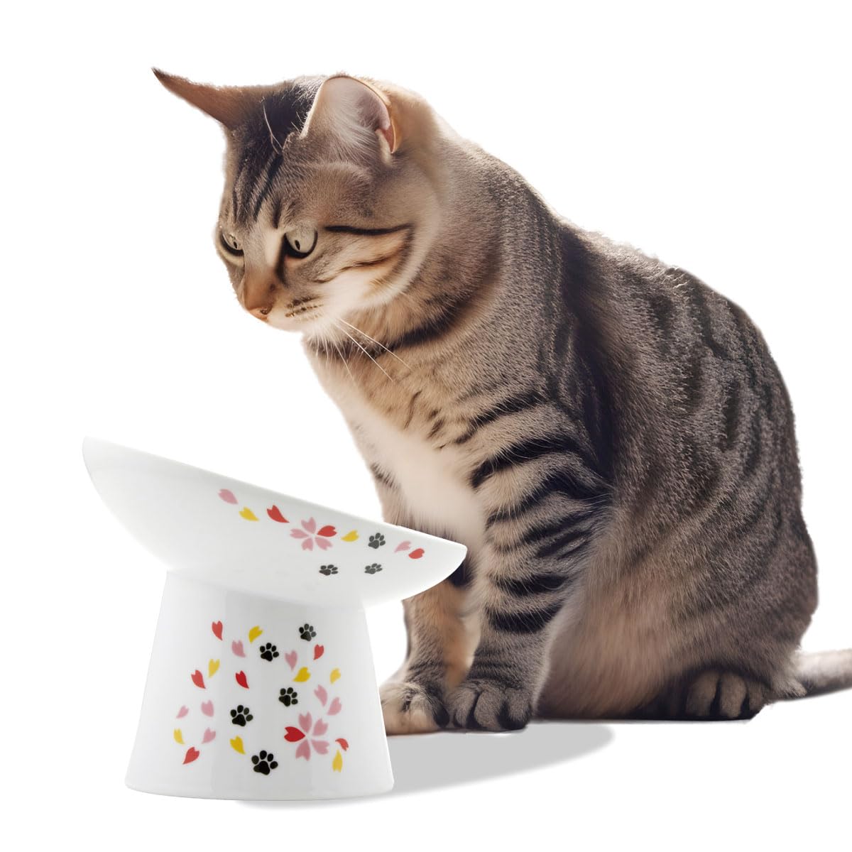 Necoichi Raised Cat Food Bowl - Ceramic Elevated 15 Tilted Cat Bowl for Whisker & Neck Fatigue, Dishwasher Microwave Safe - Non-