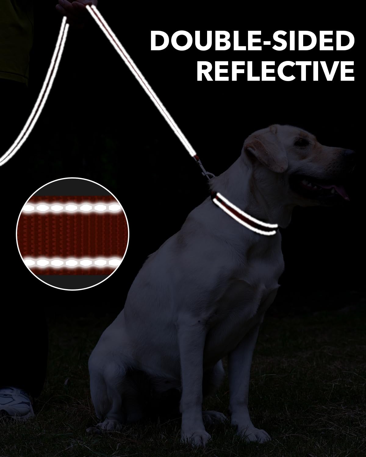 Taglory Dog Leash For Small Dogs, Double-Sided Reflective Leash With Soft Neoprene Padded Handle, 3/4 Inch By 5 Ft, Fit Small Me